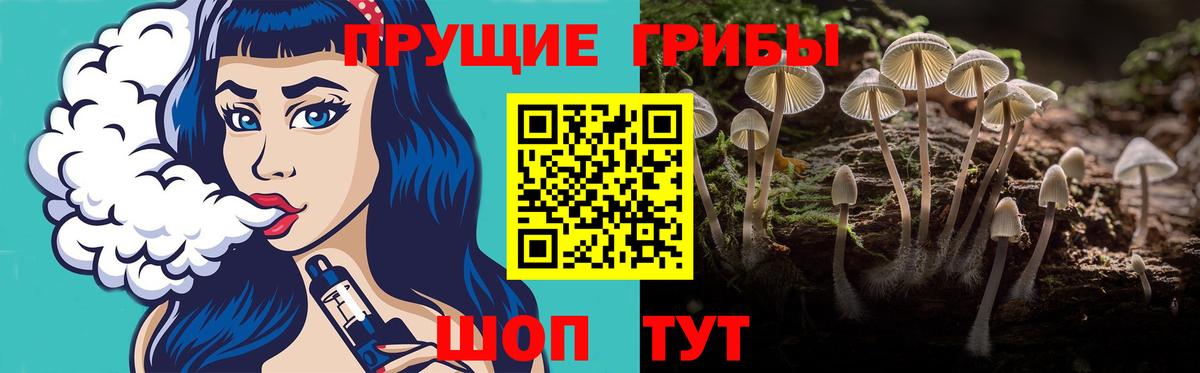 Галлюциногенные грибы Cubensis Отрадное